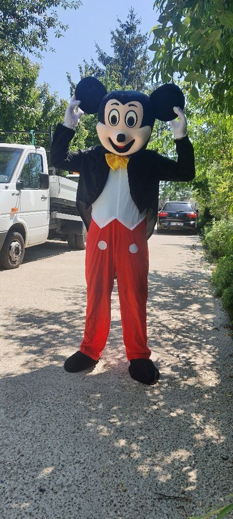 Costume Mickey și Minnie
