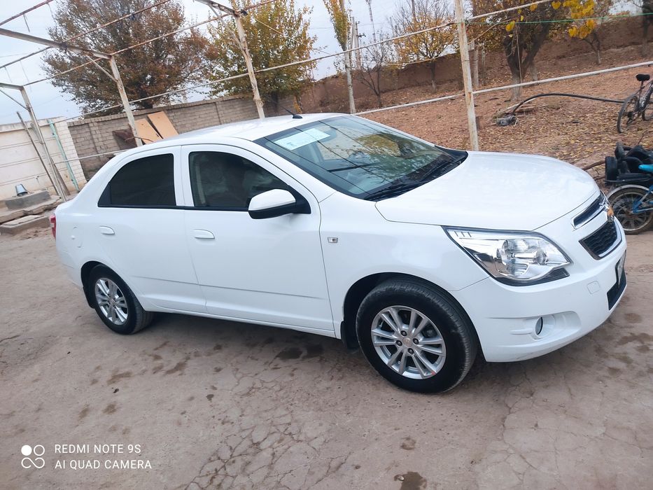 2024 каболит сотиладии