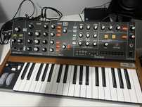 sintetizator behringer poly d