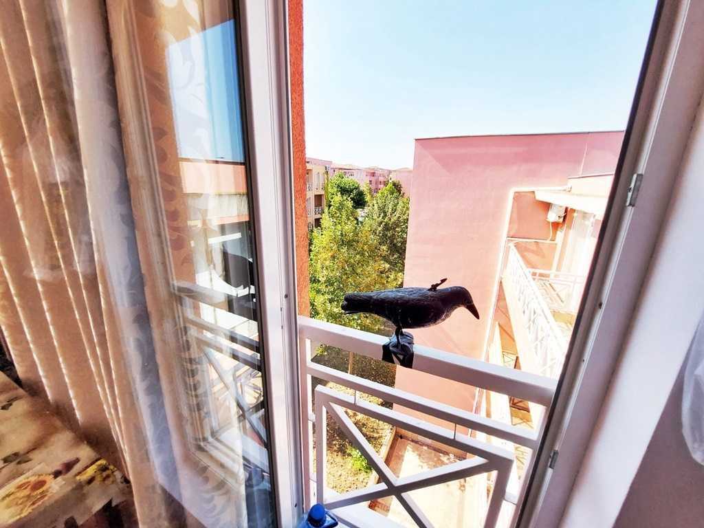 Продава се Едностаен апартамент в к.к. Слънчев бряг - 32 кв.м за 813 €/кв.м - Снимка #3