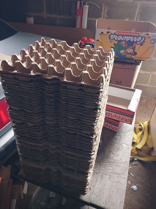 Продам лотки для яйца