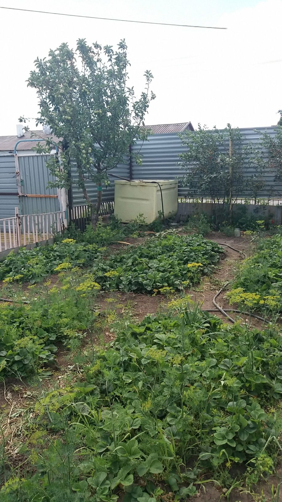 Продается дом все центральное. С мебелью. Бани нетсайдинга нет. .