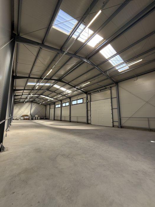 Hala si Birouri 595mp , Platforma Pavaj 1500mp