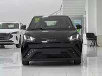 BYD Seagull Nasiyaga beramiza