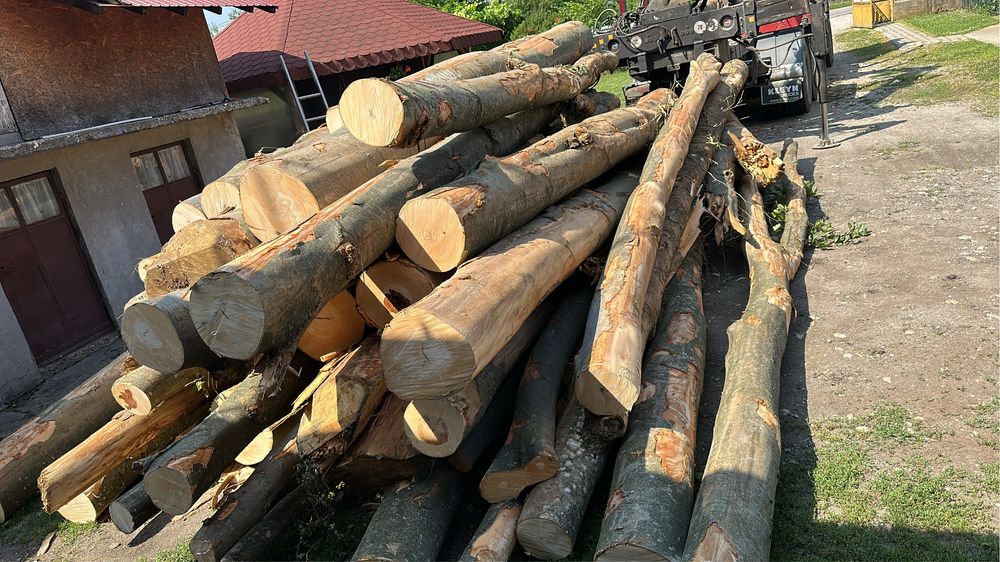 Lemne de foc FAG STEJAR