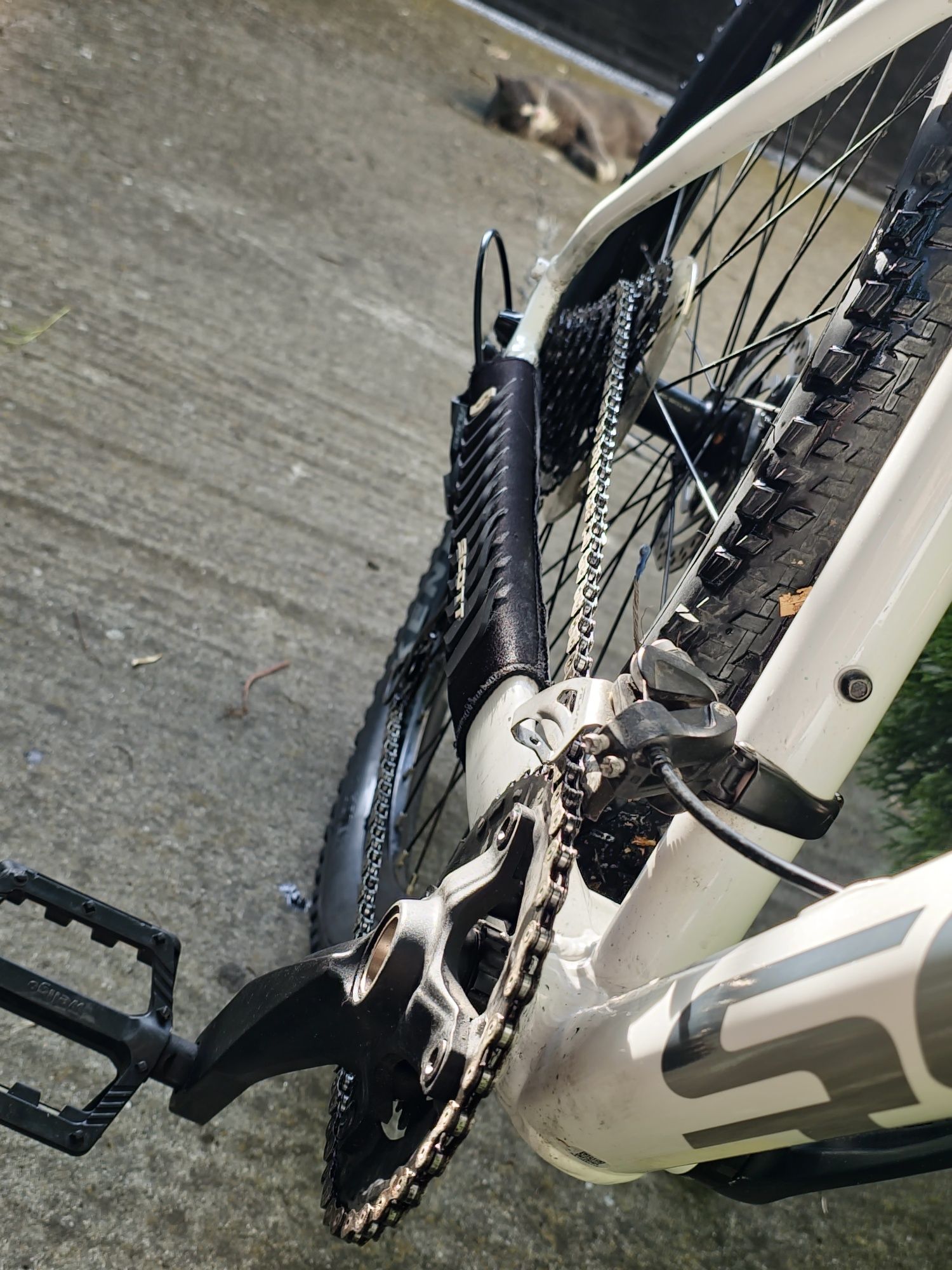 MTB SCOTT Contessa 30 Active