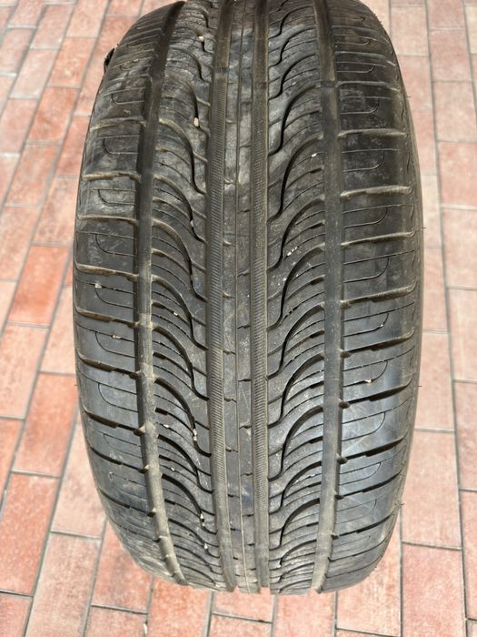 Nexen balon bir dona