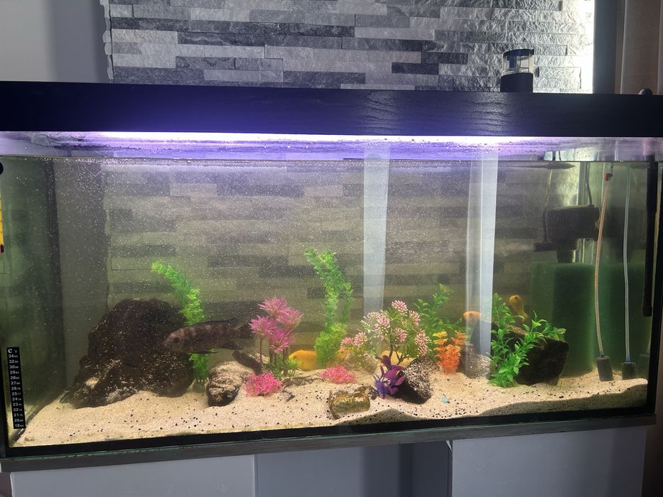 Vand acvariu 112x57 150-180l