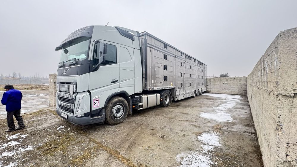 скотовоз под заказ