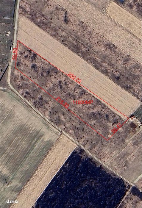 Teren intravilan parcelabil - Pausa, comuna Nojorid - IMOBIHOR