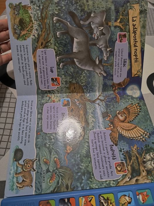 Carte sonora Bun venit în padure - Glasuri vesele