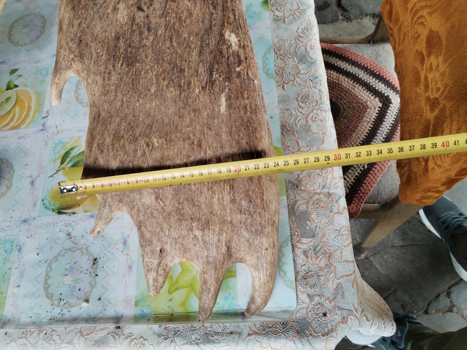 Vând ornament decorativ!!