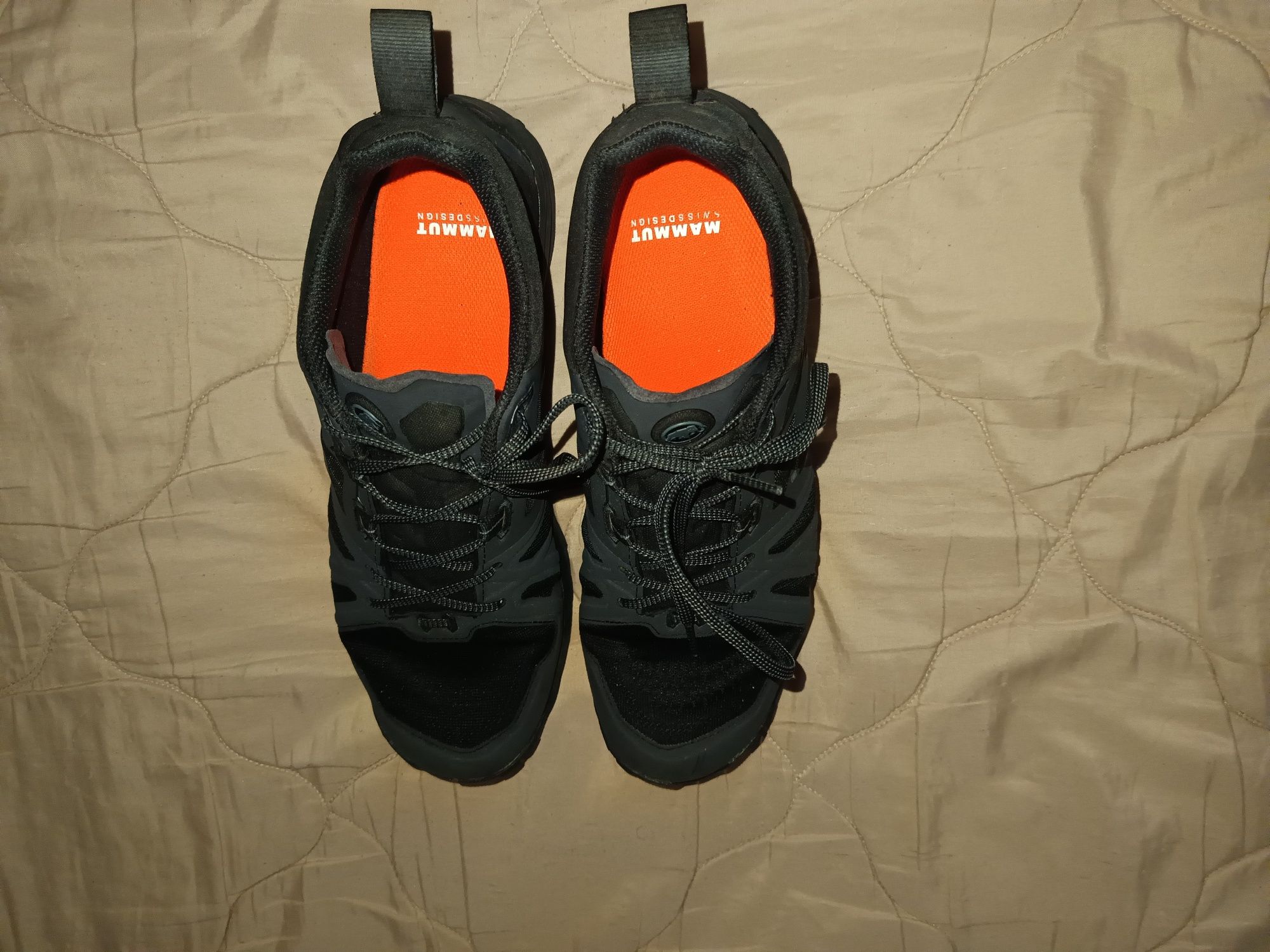 Mammut saentis 42