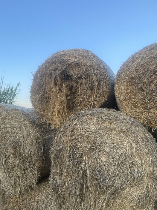 Vând baloți rotunzi paie si ovaz