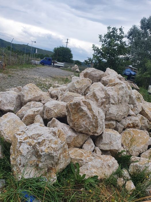Bolovani ornamentali