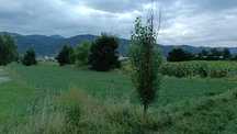 VÂND TEREN INTRAVILAN – Dofteana, jud. Bacău, 2.039 mp, acces: DN12