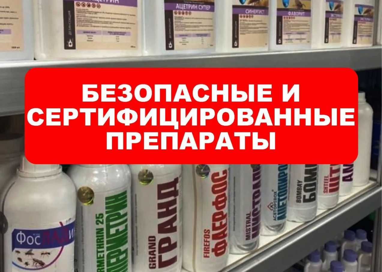 Dezinfeksiya klop klapa tarakan burga chivin pashsha Дезинфекция