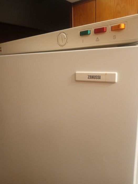 Продавам голям вертикален фризер Зануси