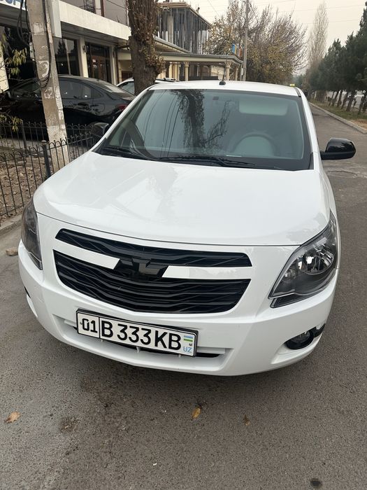 COBALT midningt 2025