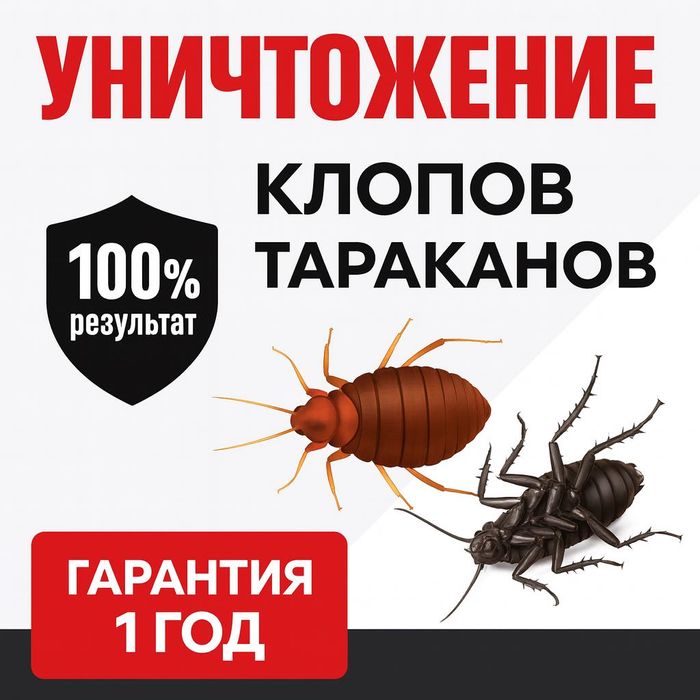 Дезинфекция от 10 000 — клопы, тараканы, мыши, быстрая обработка