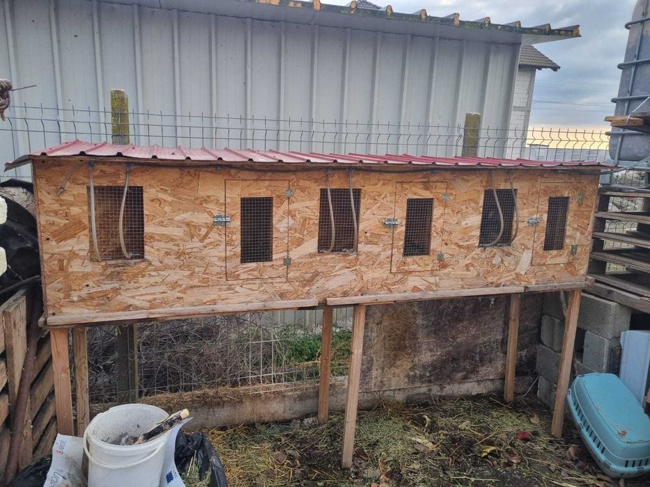 Cusca de iepuri cu iepuri totul automat