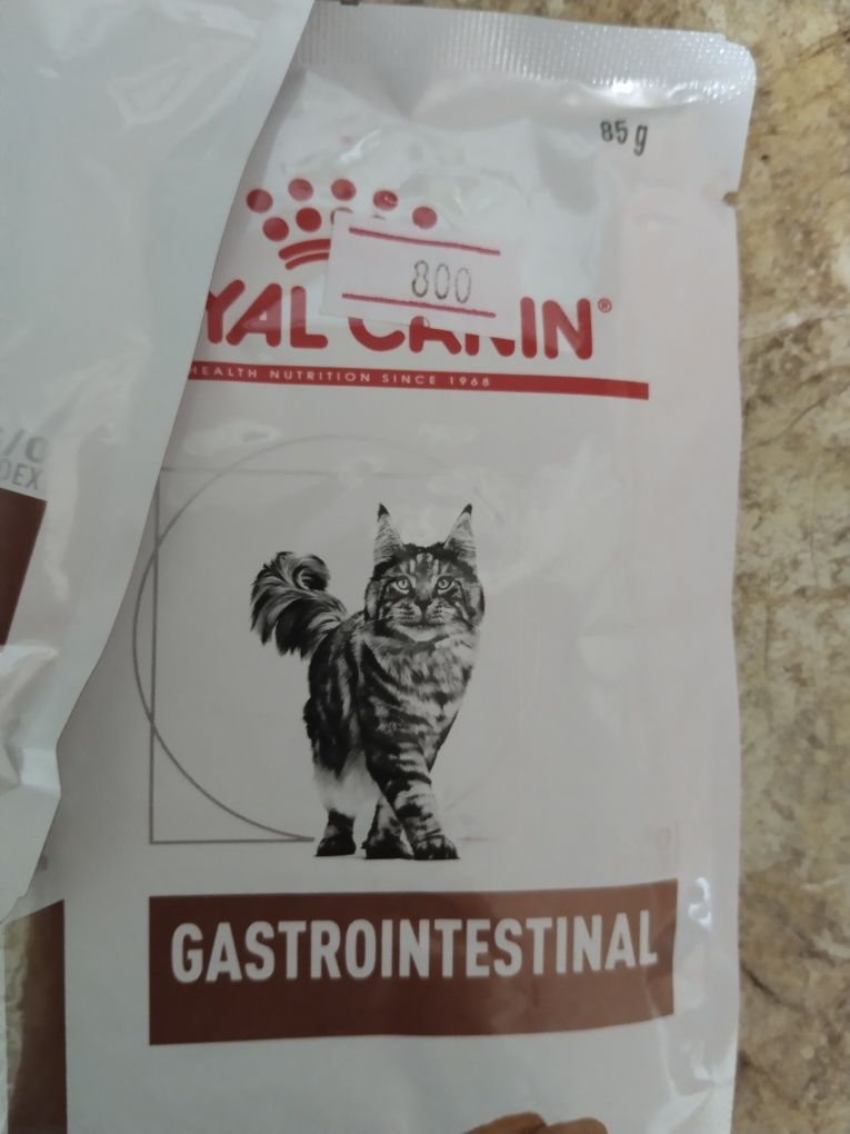 Корм для кошек влажный