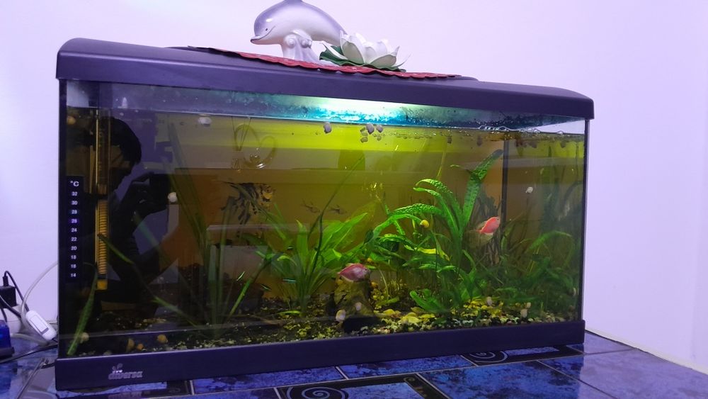 Acvariu pentru pești  150L