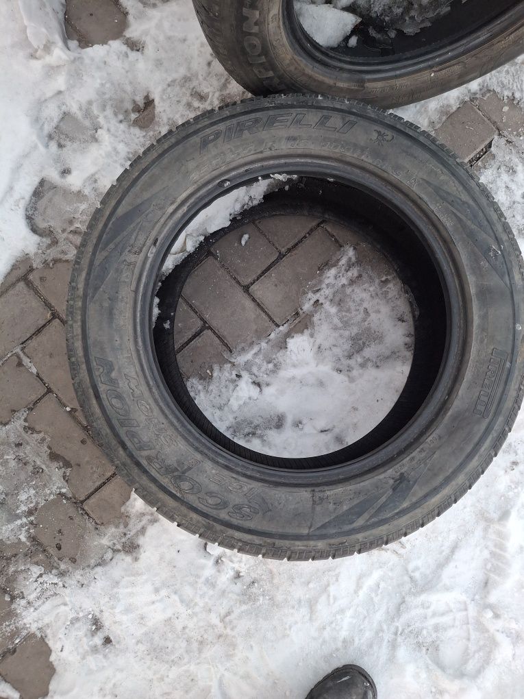 Продам шины Pirelli Scorpion (всесезонка)