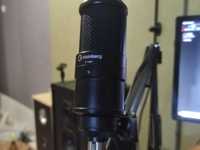 Микрофон Steinberg ST-M01 (XLR)