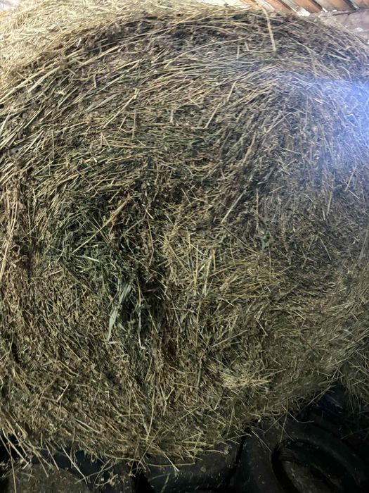 Vând Baloti de lucernă