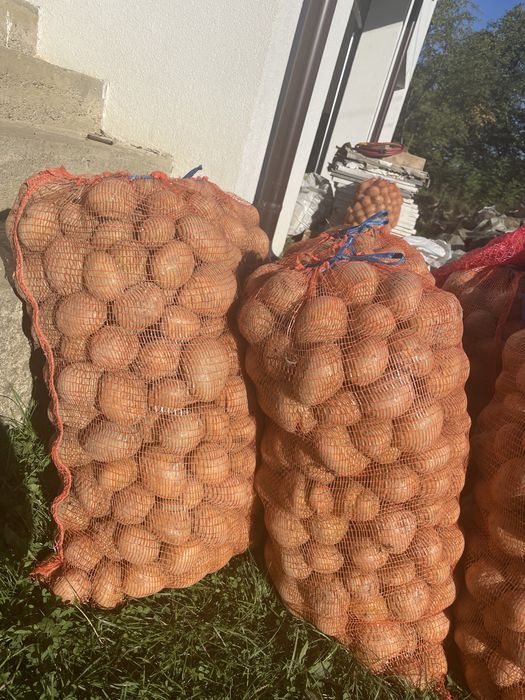 Vand cartofi albi pentru consum
