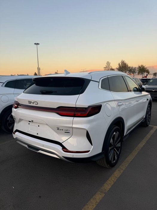 BYD chempion 2025/26