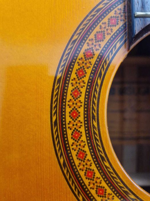 Vand chitara Kasuga G-312, cu defect.