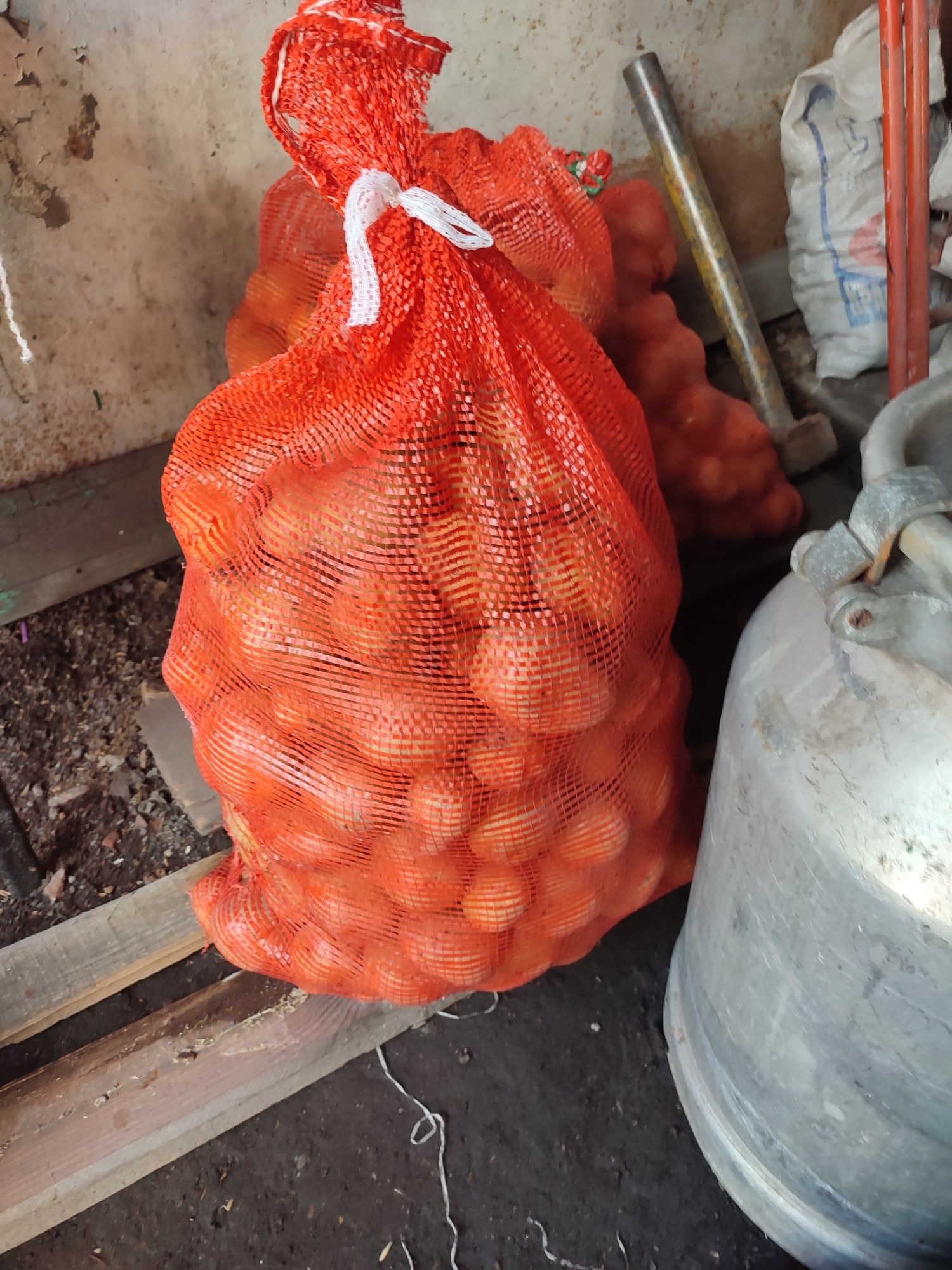 Продам картофель
