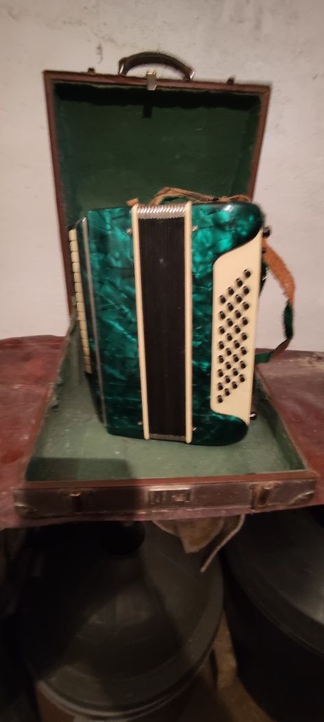 Acordeon pentru copii