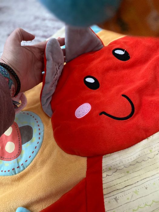 Salteluta activitati