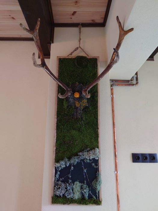 Decor perete din mușchi natrual