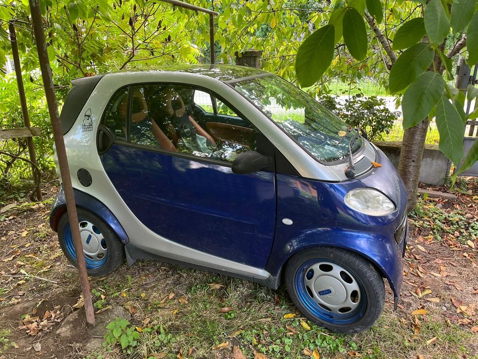 Smart fortwo 800 diesel.