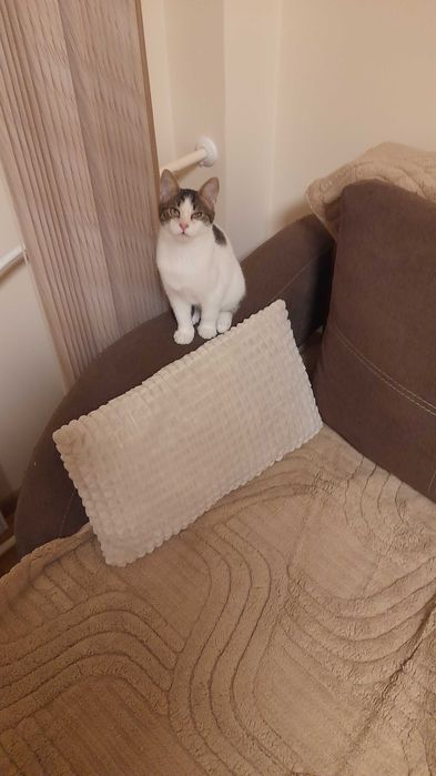 Кая и Мони търсят дом