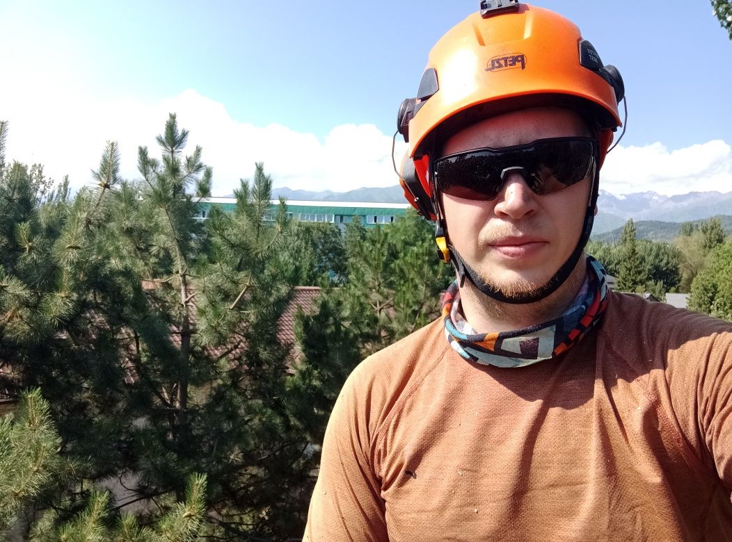Спил аварийных деревьев, обрезка
