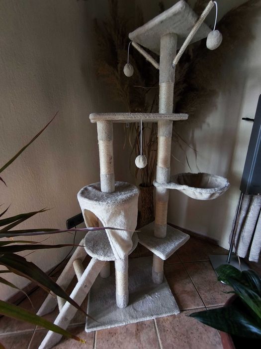 Катерушка за Коте