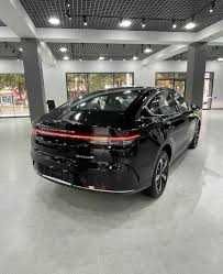 BYD Chazor 120km Full