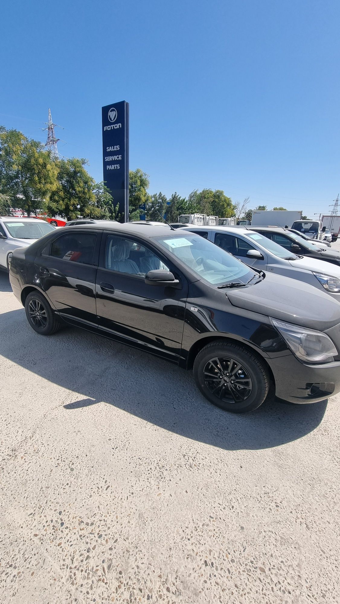 Cobalt Midnight 2025