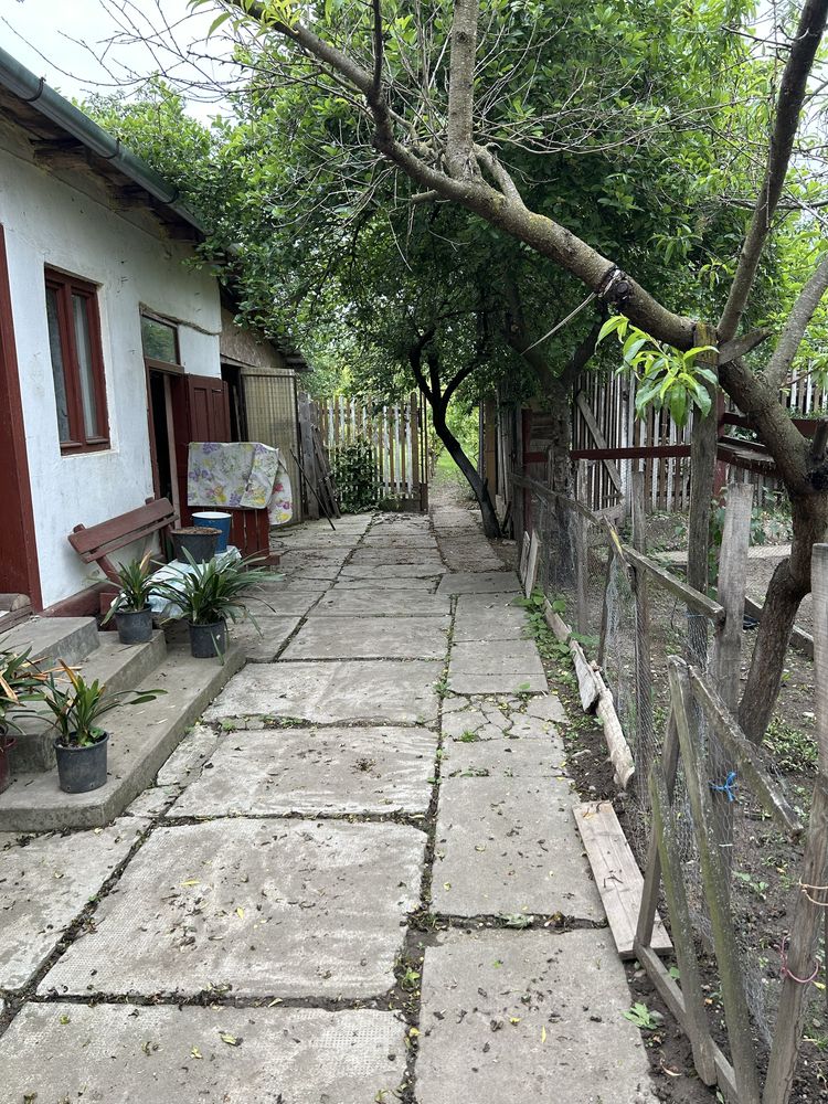 Casa de vanzare in Tinca
