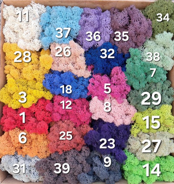 !Промоционални цени Скандинавски мъх и топчест мъх