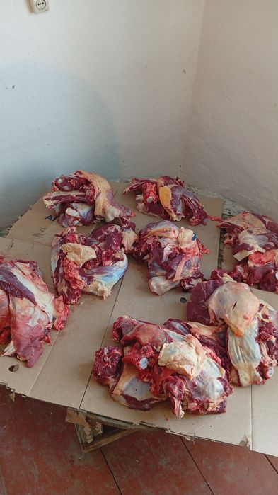 Касапшылык кызметтери,Мясник,