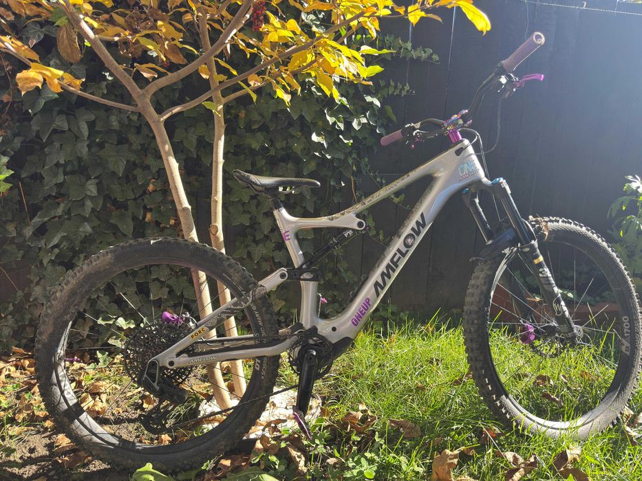 Amflow PL Carbon Dji mullet Axs cu upgrade-uri si extra