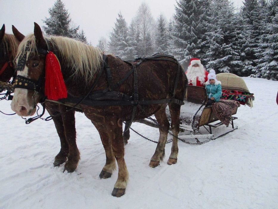 Moş Crăciun la tine acasă 2025