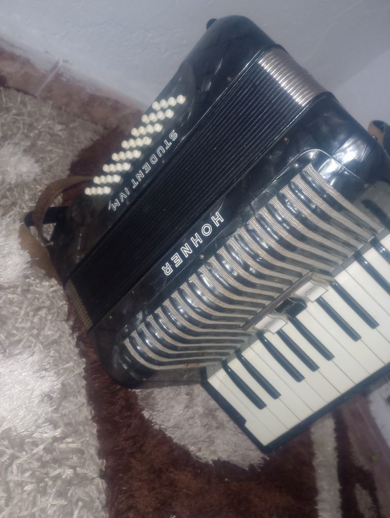 Acordeon hohner studenții