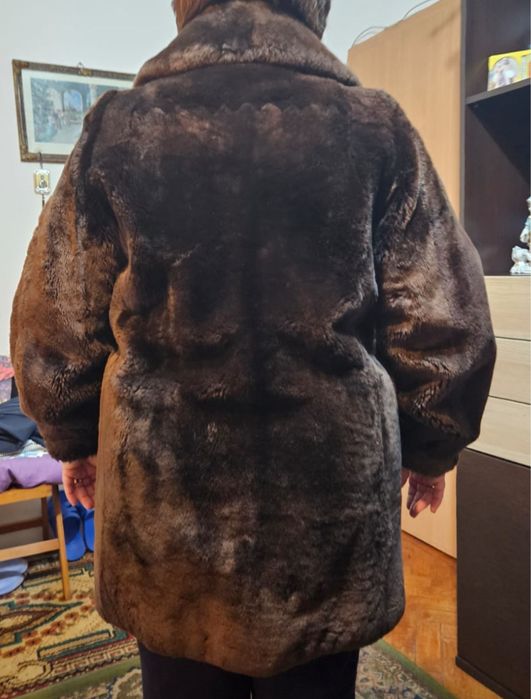 Blana Molton (de oaie)